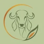 bilonikafoods - Bilonika Foods